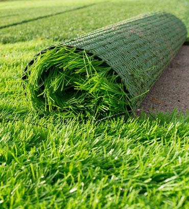 Artificial Grass